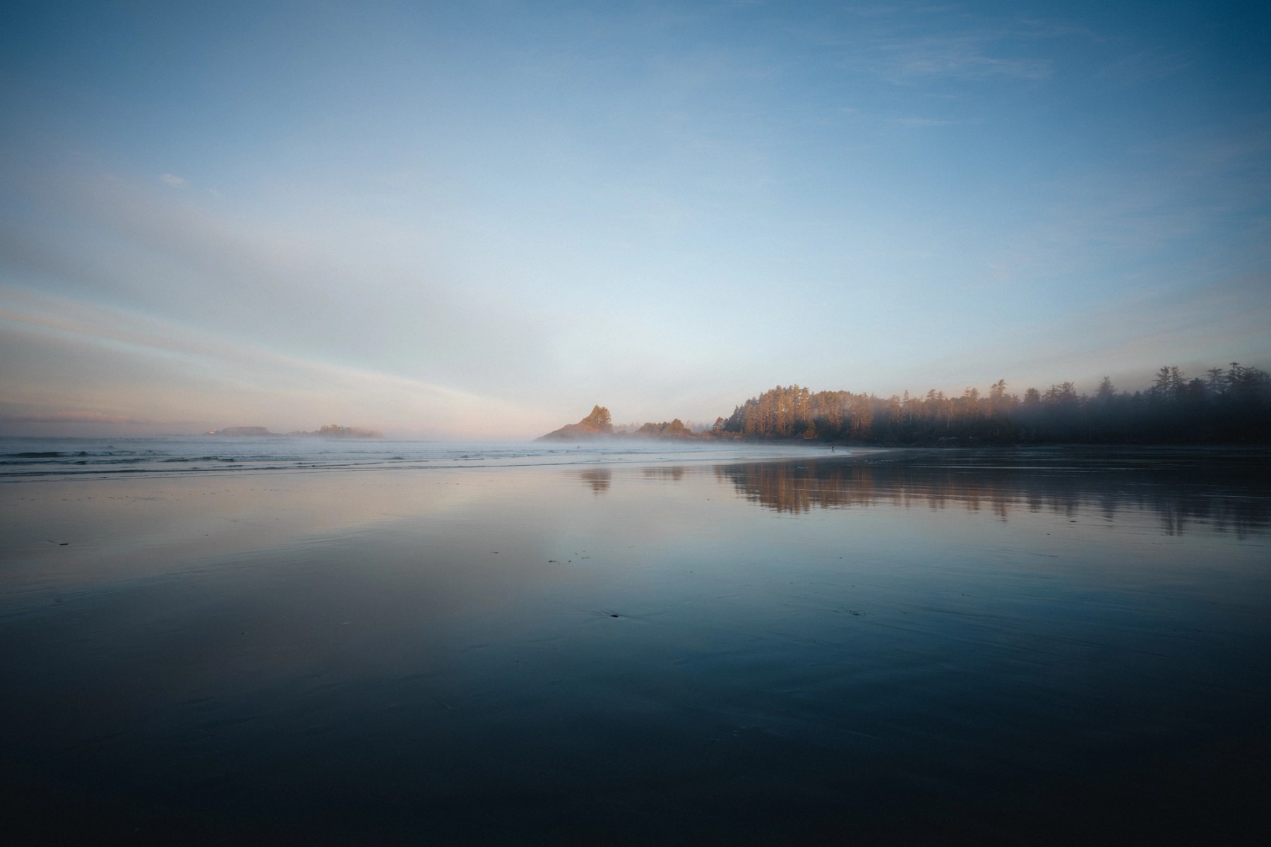Morning Fog in Tofino