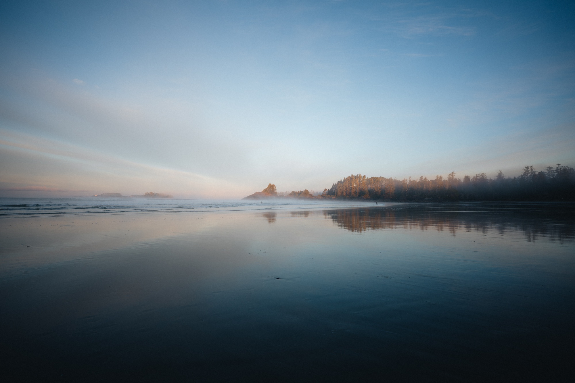 Morning Fog in Tofino