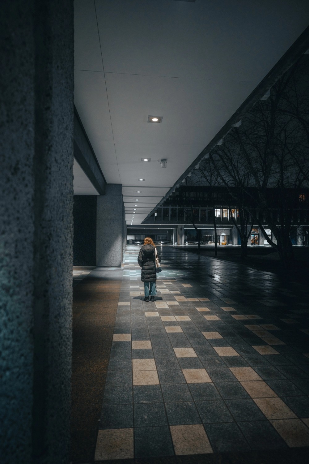 SFU by Night — gallery image
