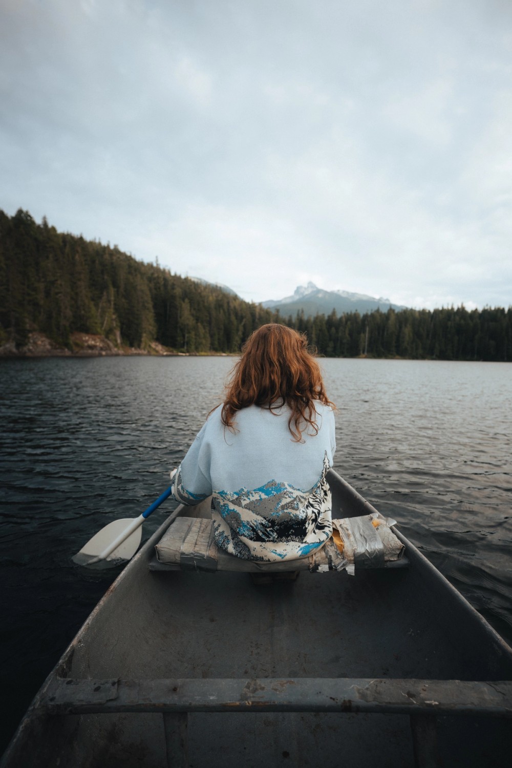 Jane Lakes — gallery image