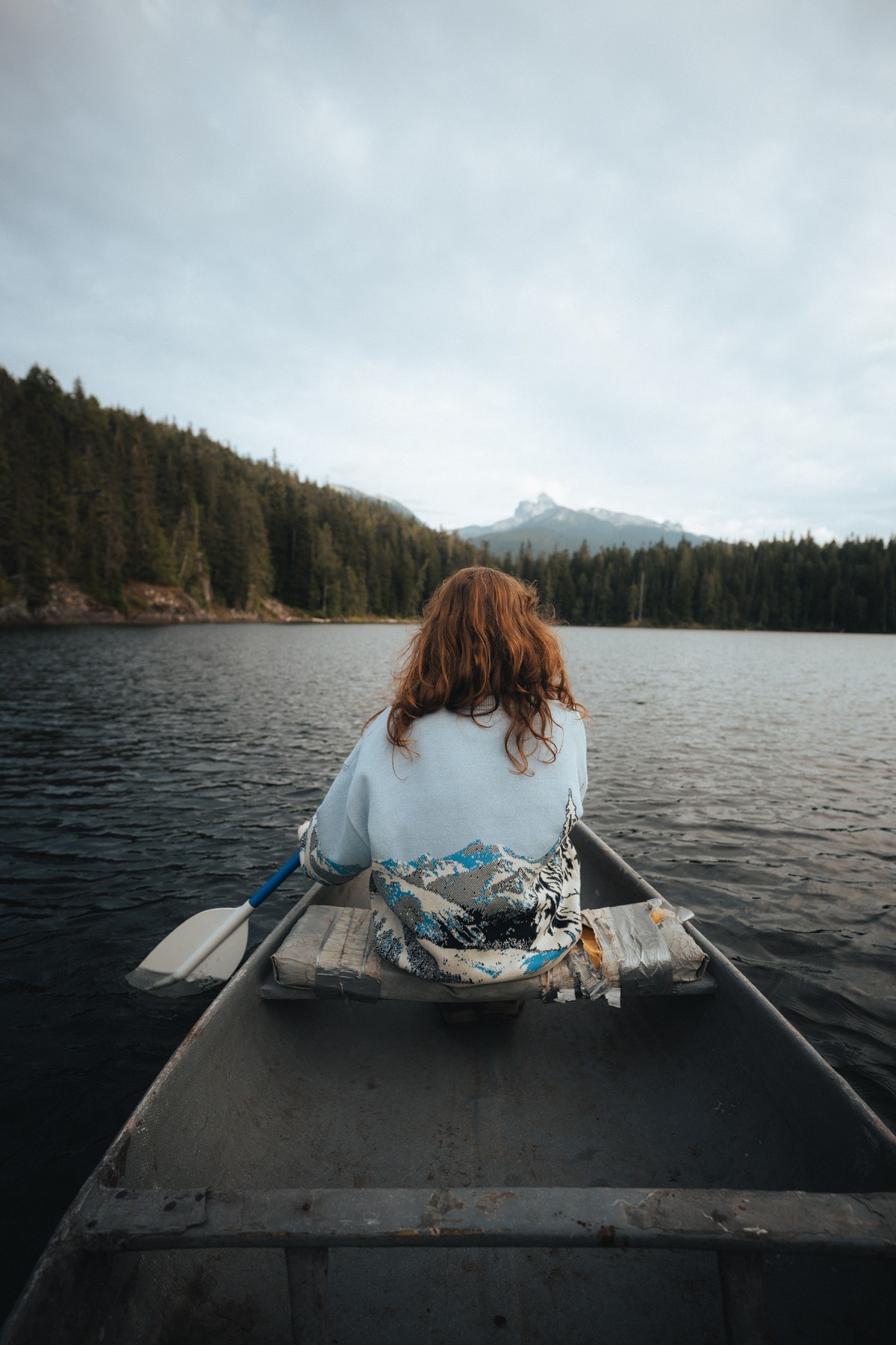Jane Lakes — project cover