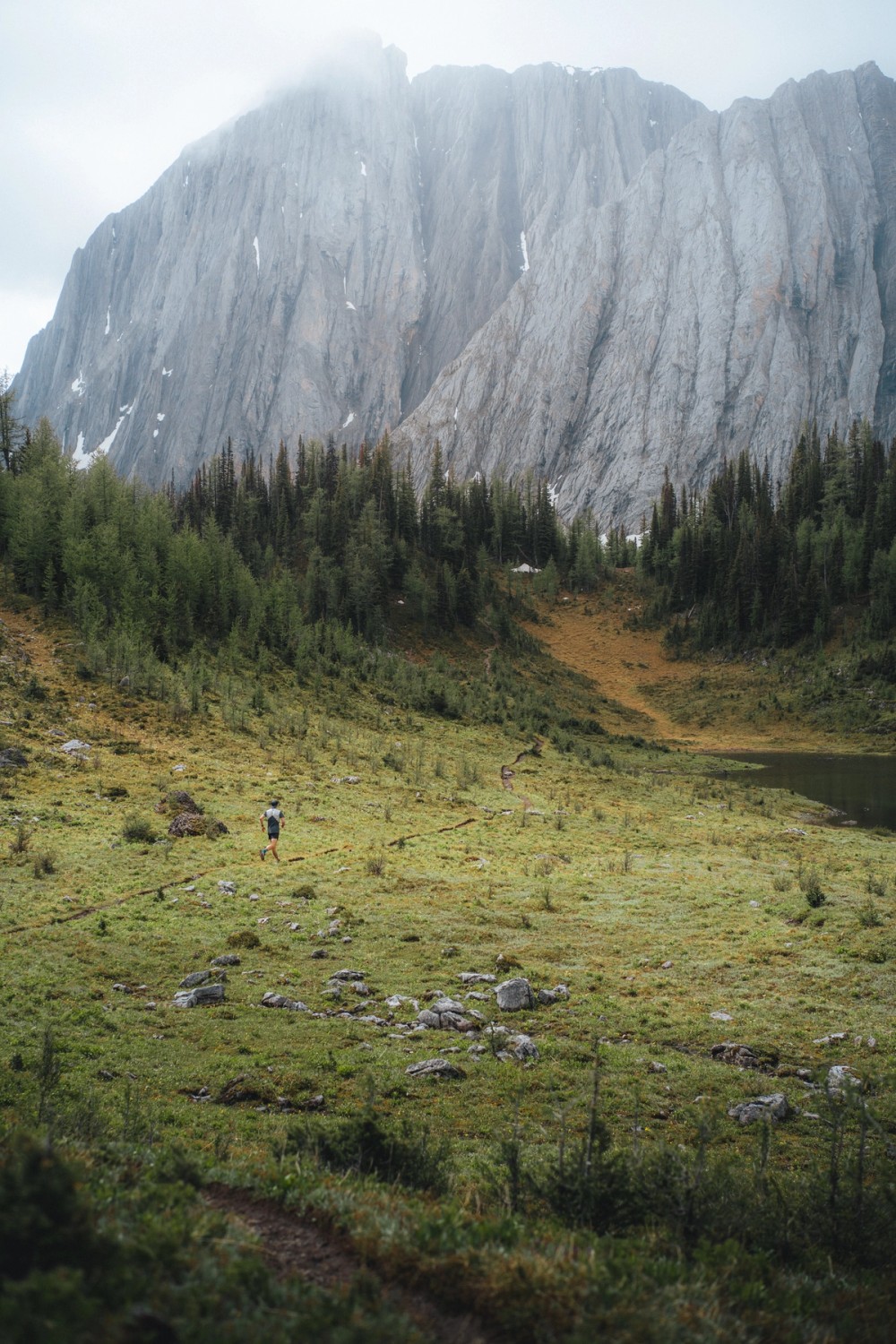 Haig Glacier Approach — gallery image