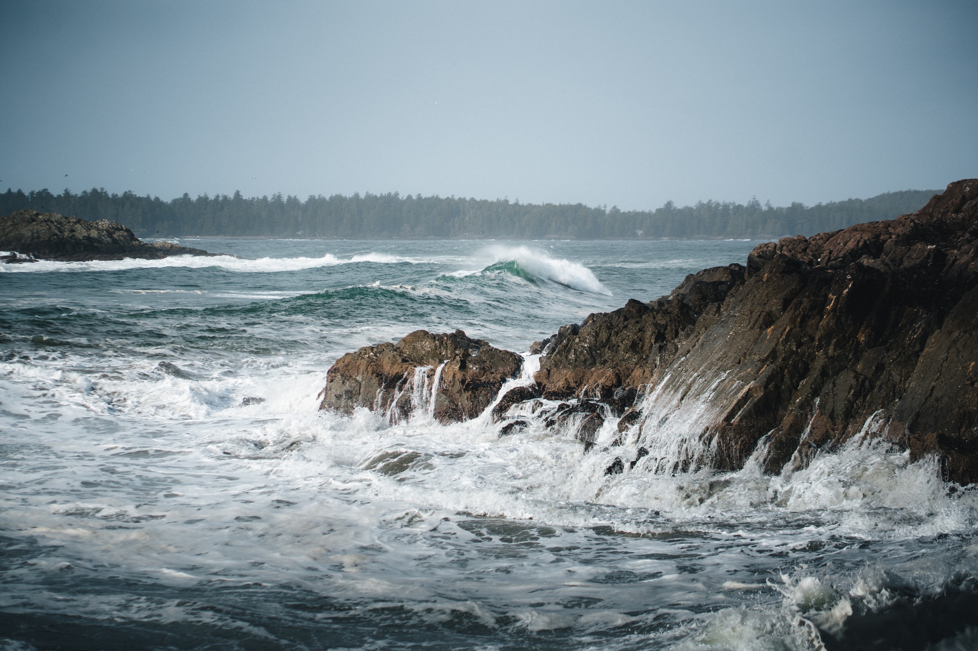 Winter Swell — project cover