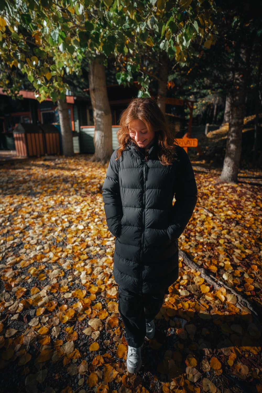 Autumn Colours — gallery image