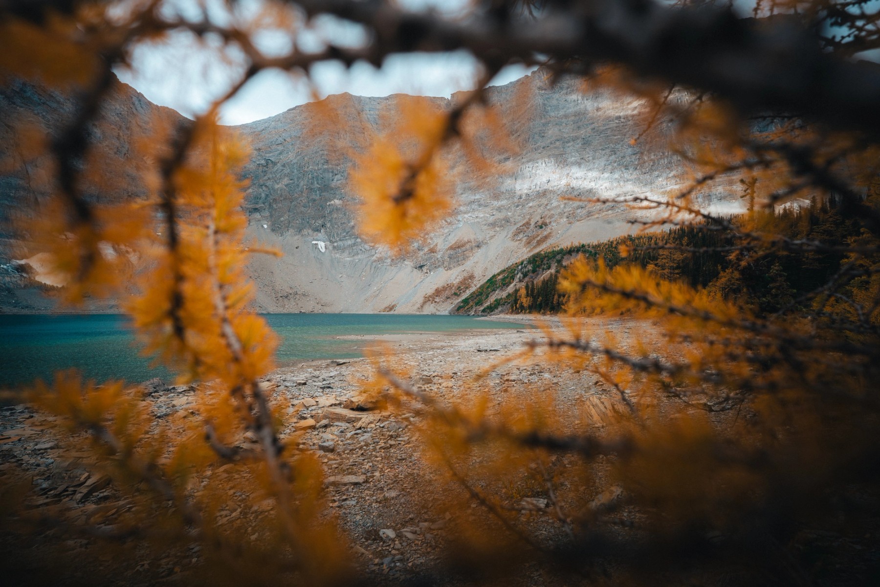 Floe Lake — gallery image