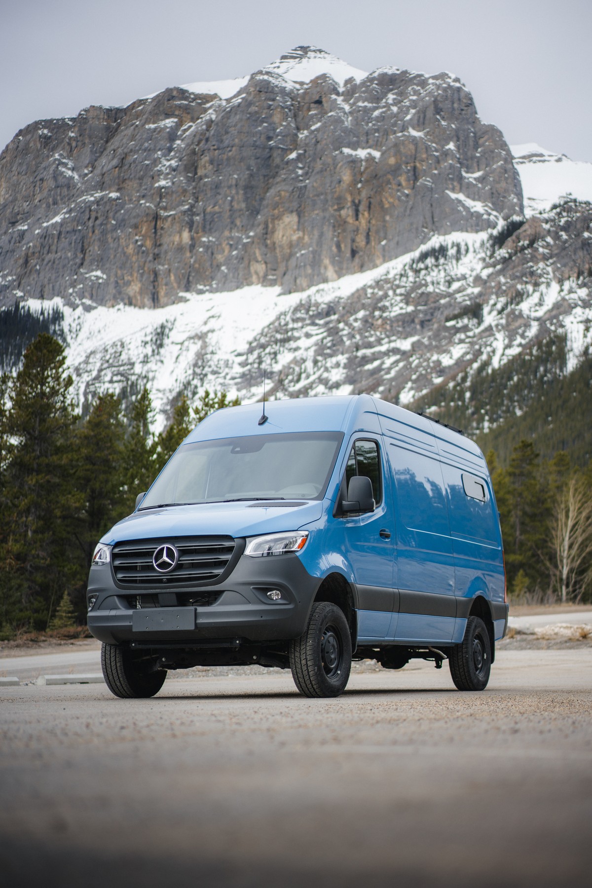 Odin's Awesome Vans — project cover