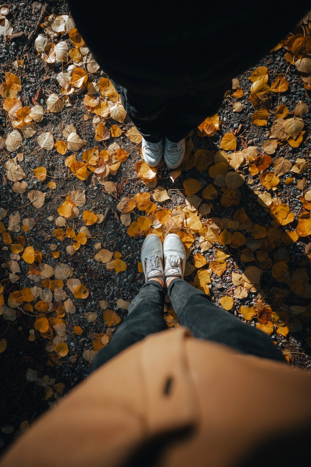 Autumn Colours — gallery image