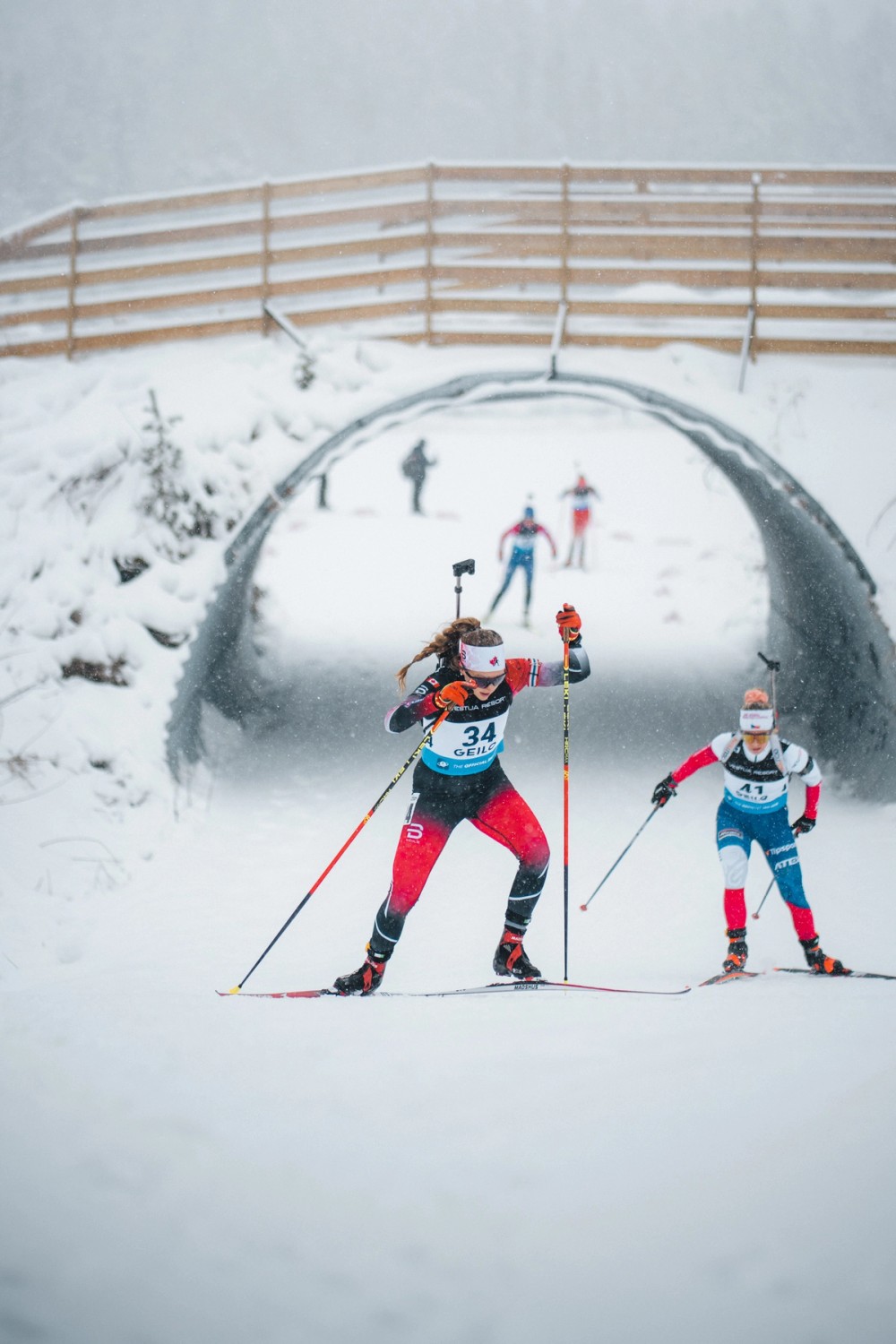 Team Canada Racing — gallery image
