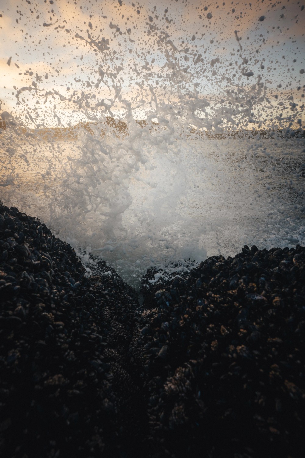 Golden Waves — gallery image