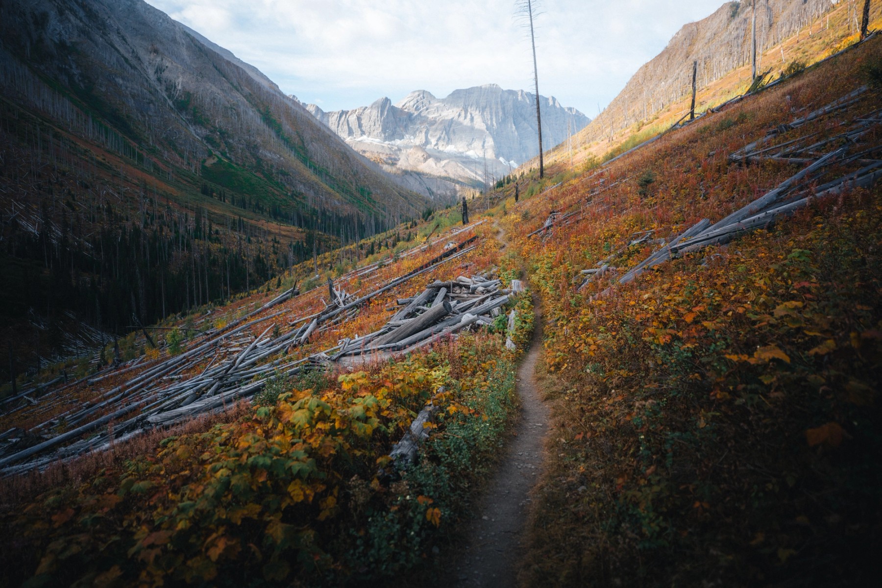 Floe Lake — gallery image