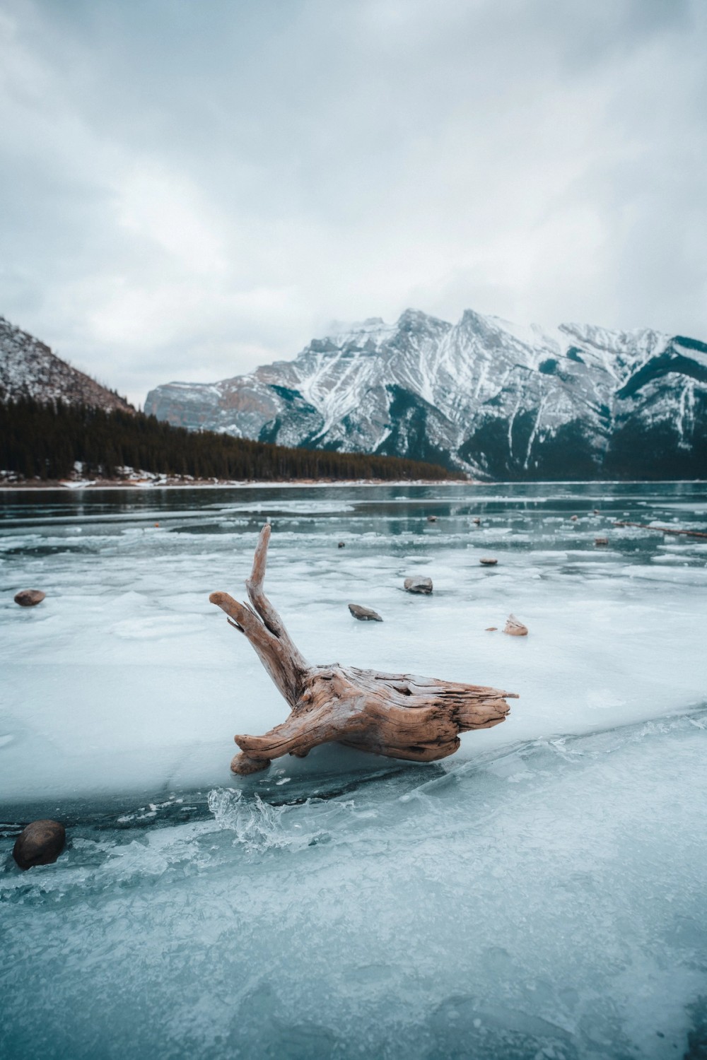 Lake Minewanka Ice Sheets — gallery image