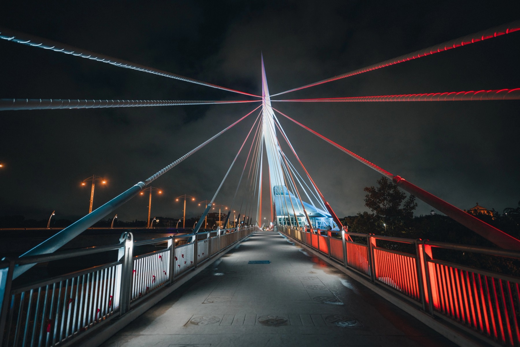 Winnipeg by Night — gallery image