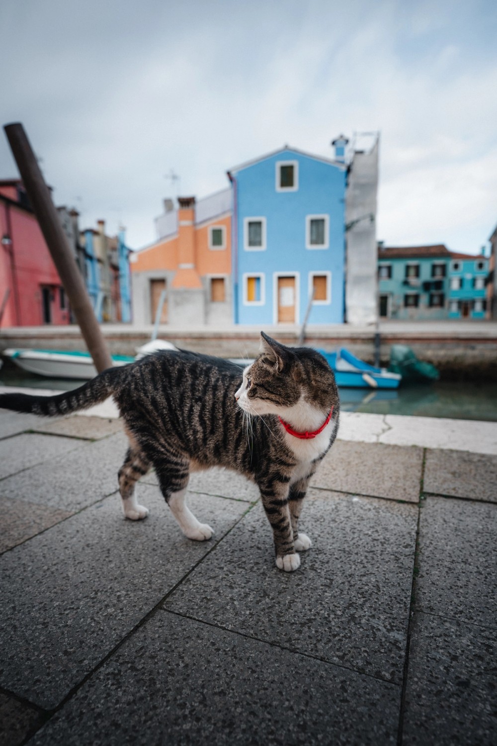 Burano — gallery image