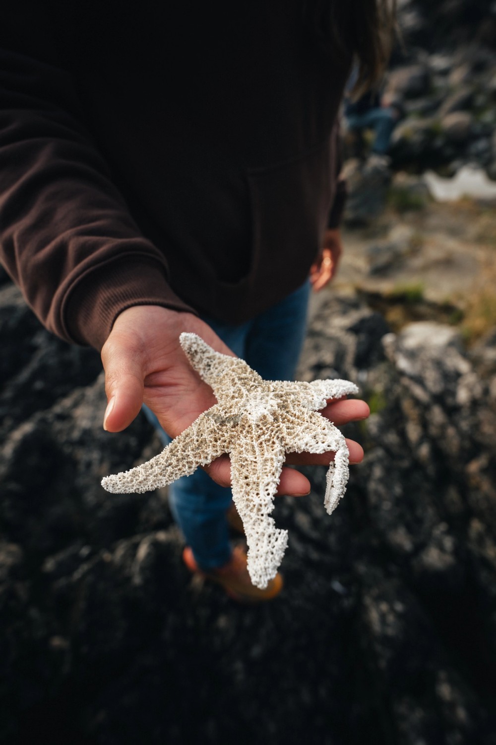 Low Tide in Tofino — gallery image