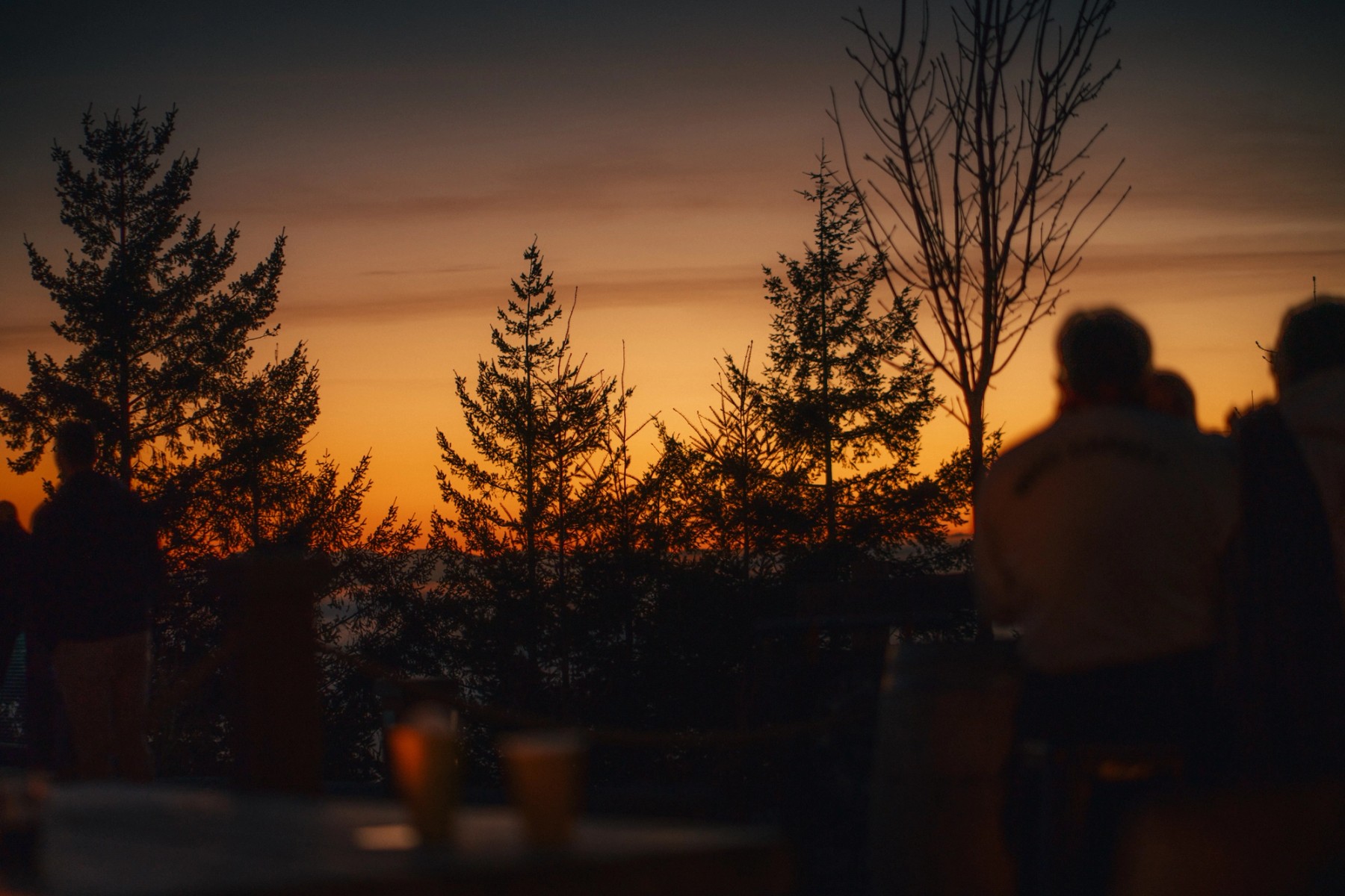 Cypress Lookout Inversion — gallery image