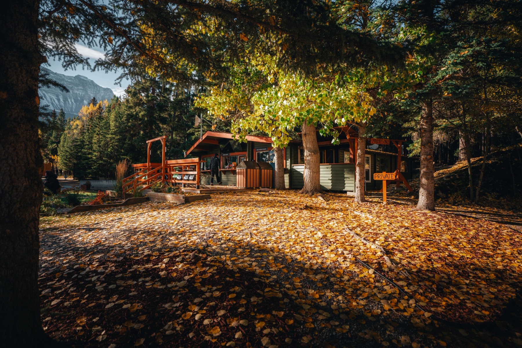 Autumn Colours — gallery image