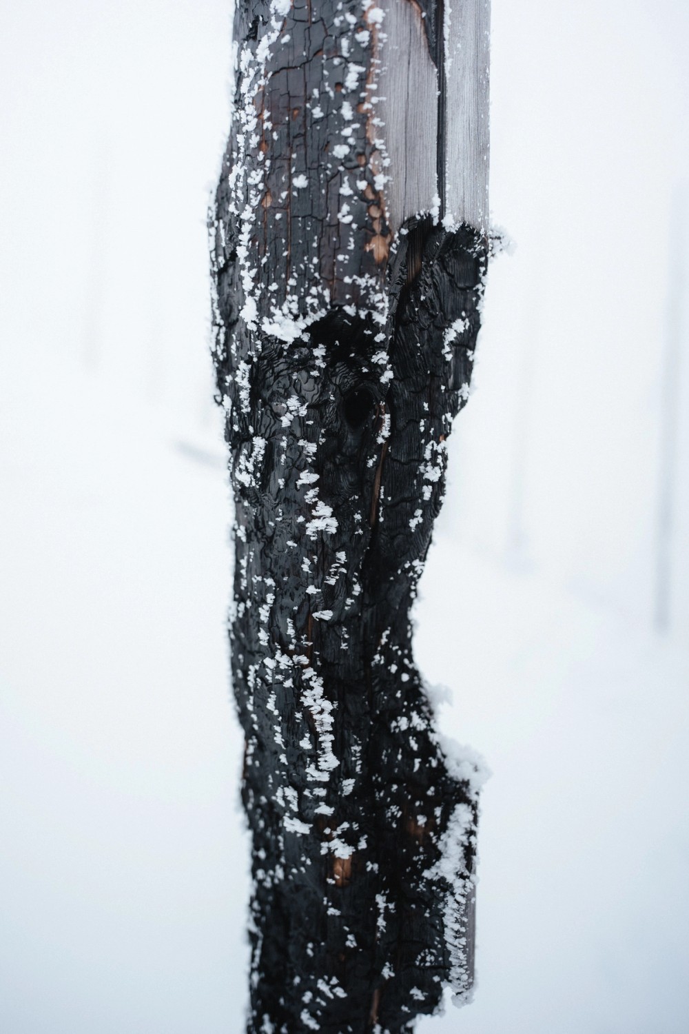Vermillion Crossing Backcountry Skiing — gallery image
