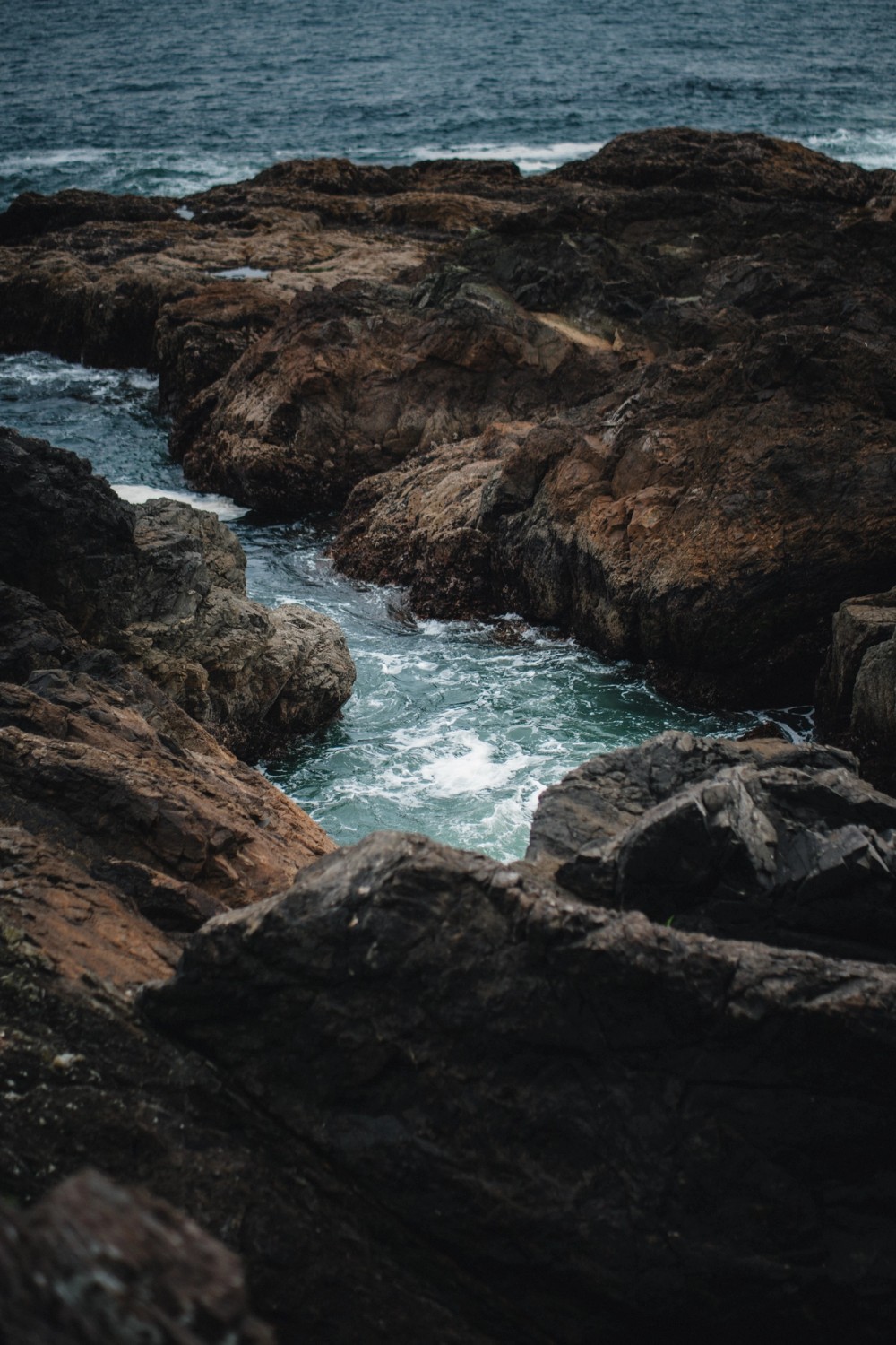 Tofino Hiking — gallery image