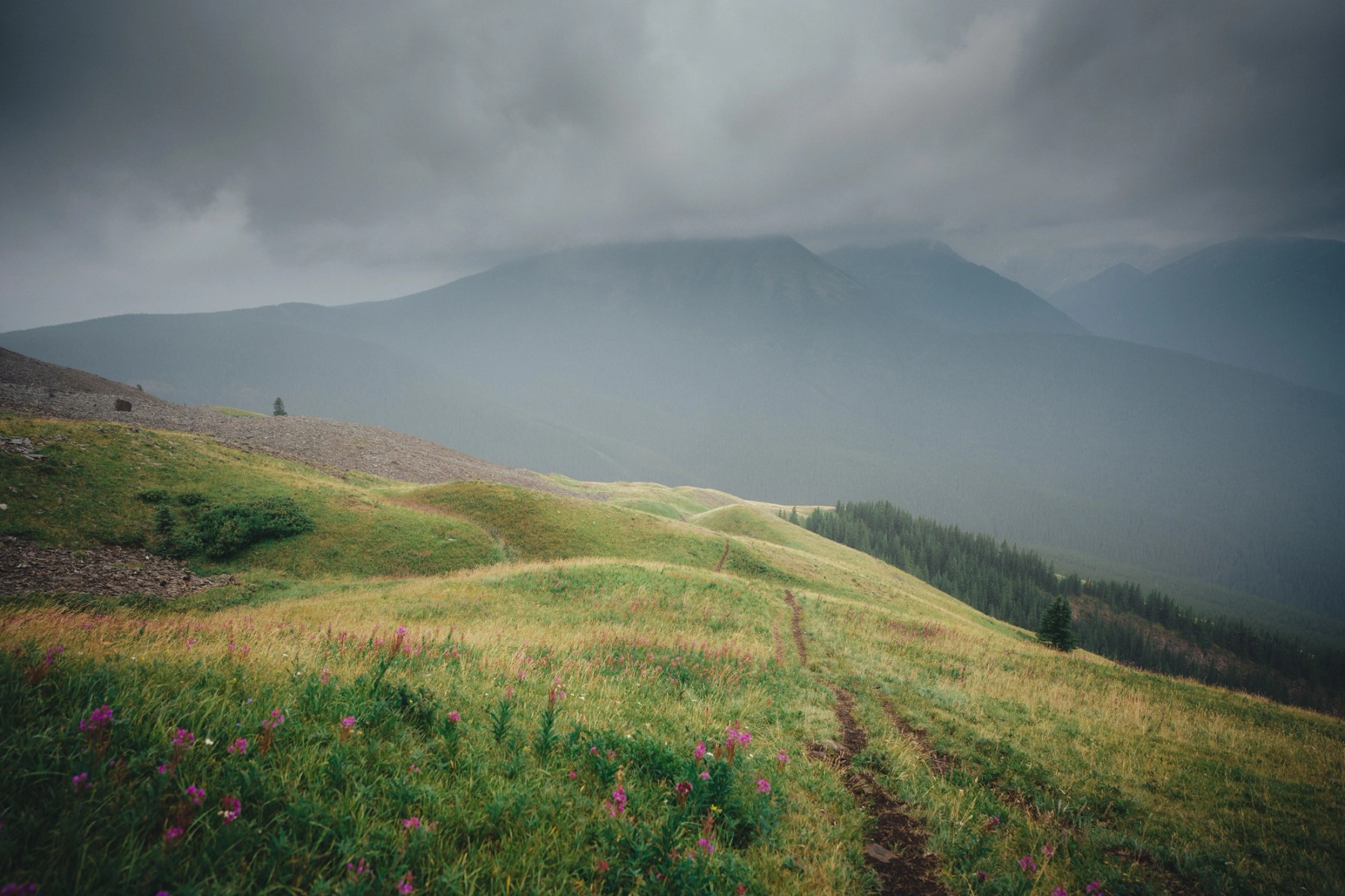 Pidgeon Peak — gallery image