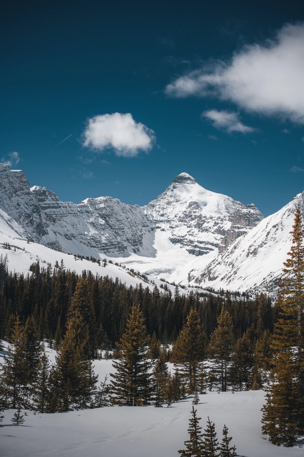 Icefields Parkway — gallery image