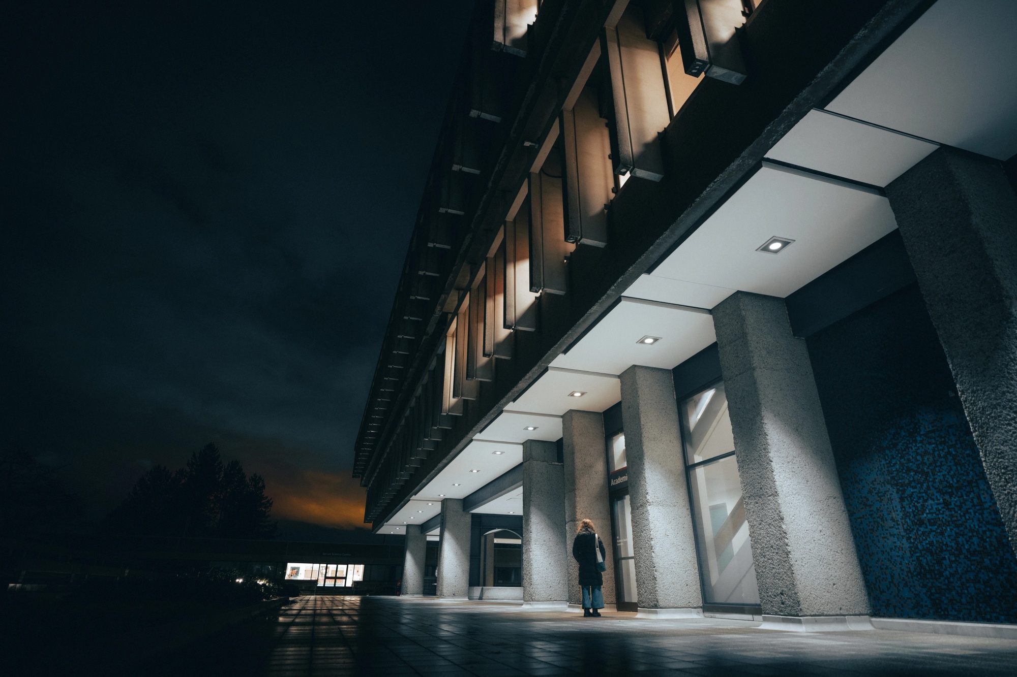 SFU by Night — project cover