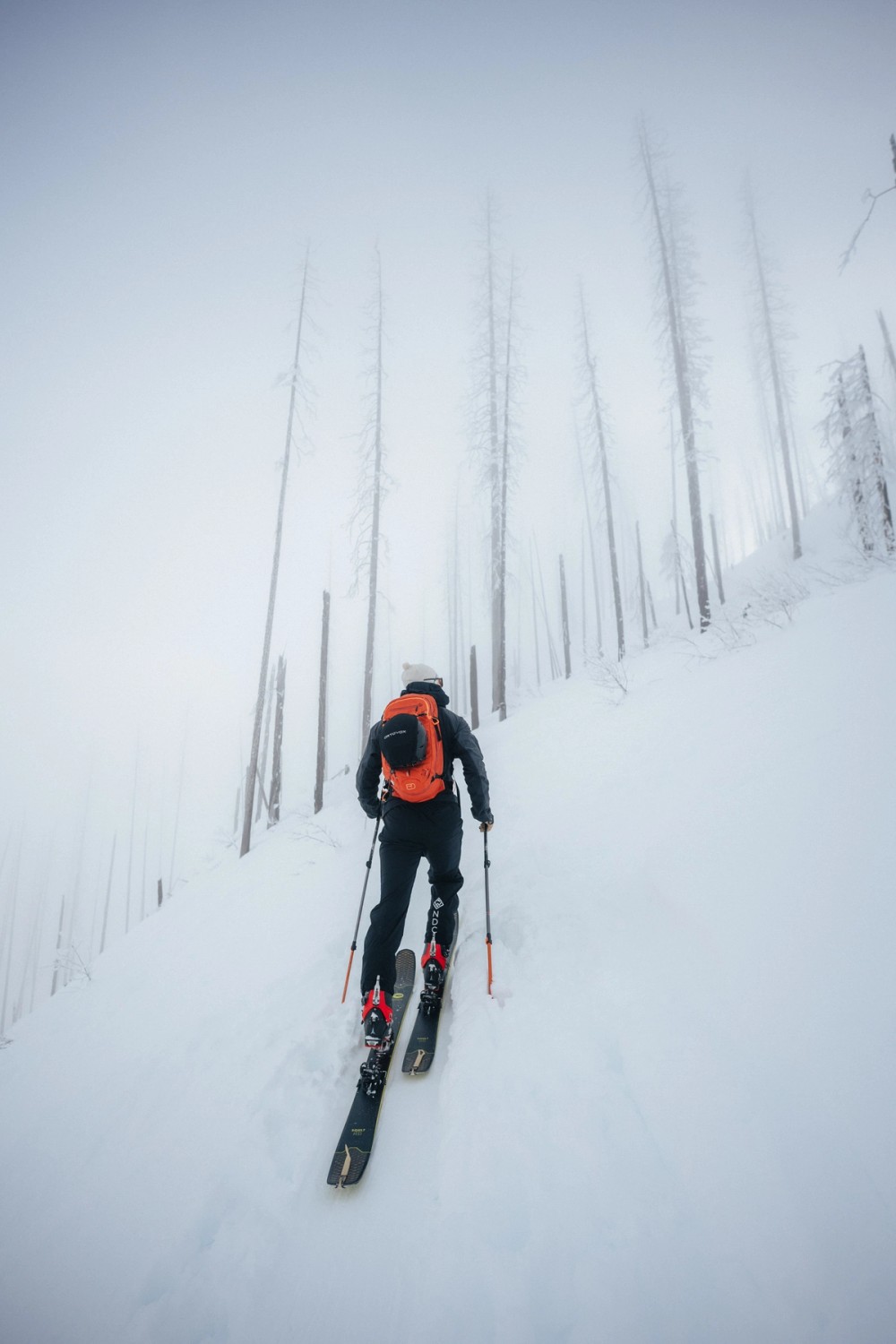 Vermillion Crossing Backcountry Skiing — gallery image