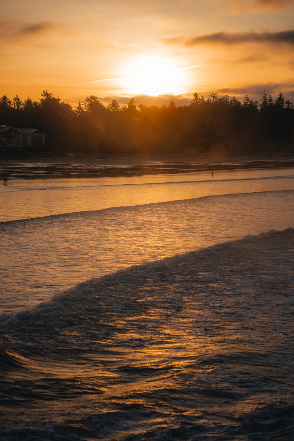 Golden Waves — gallery image