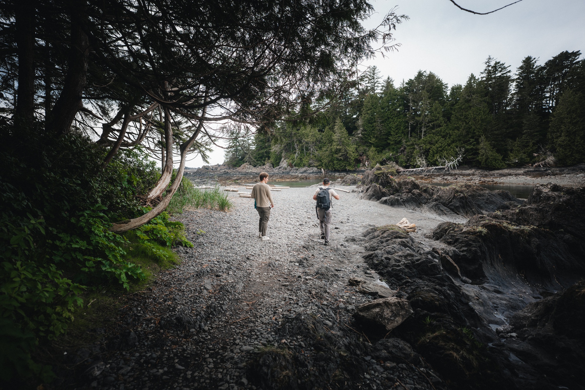 Tofino Hiking