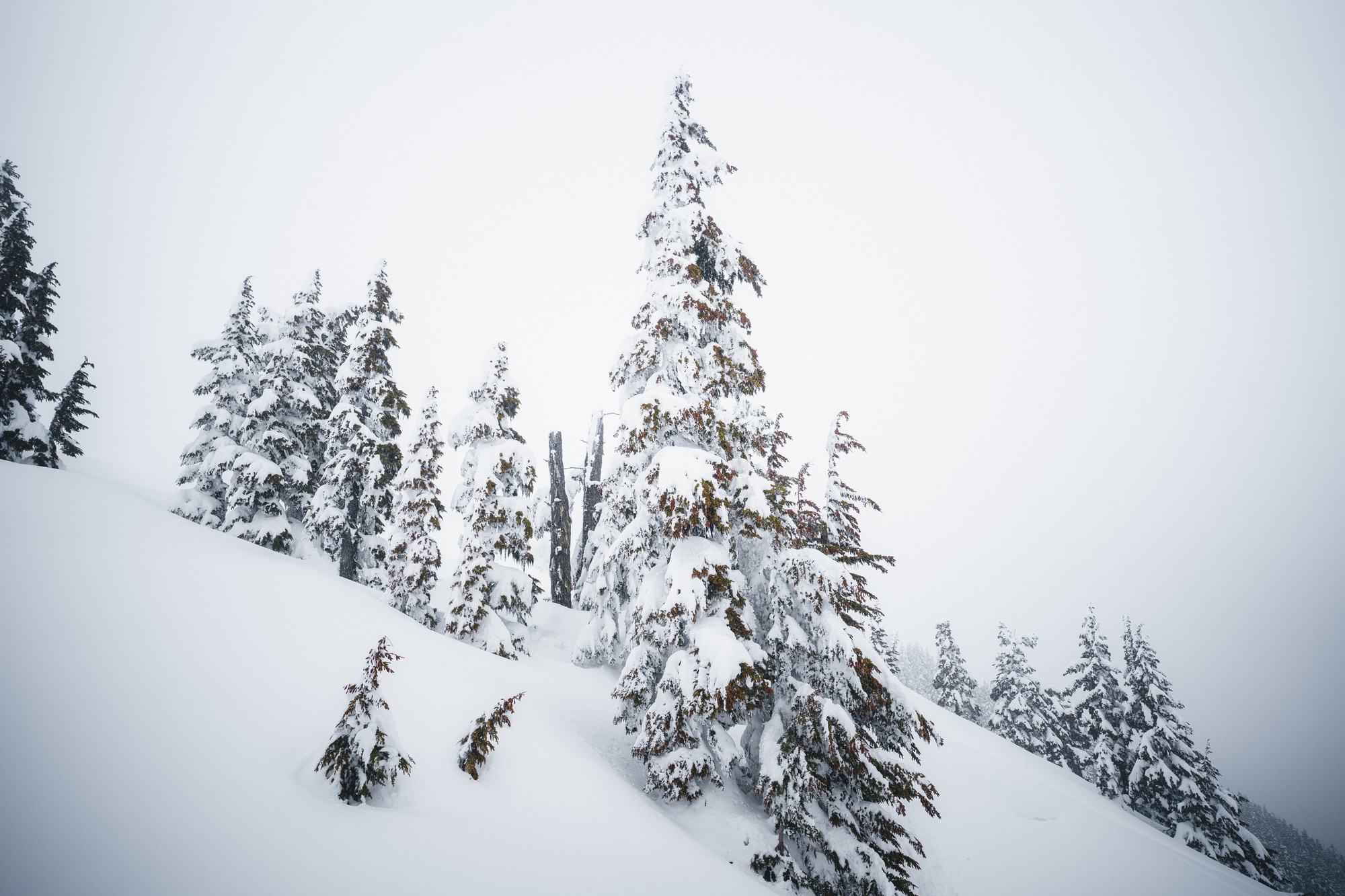 Backcountry Skiing Transition