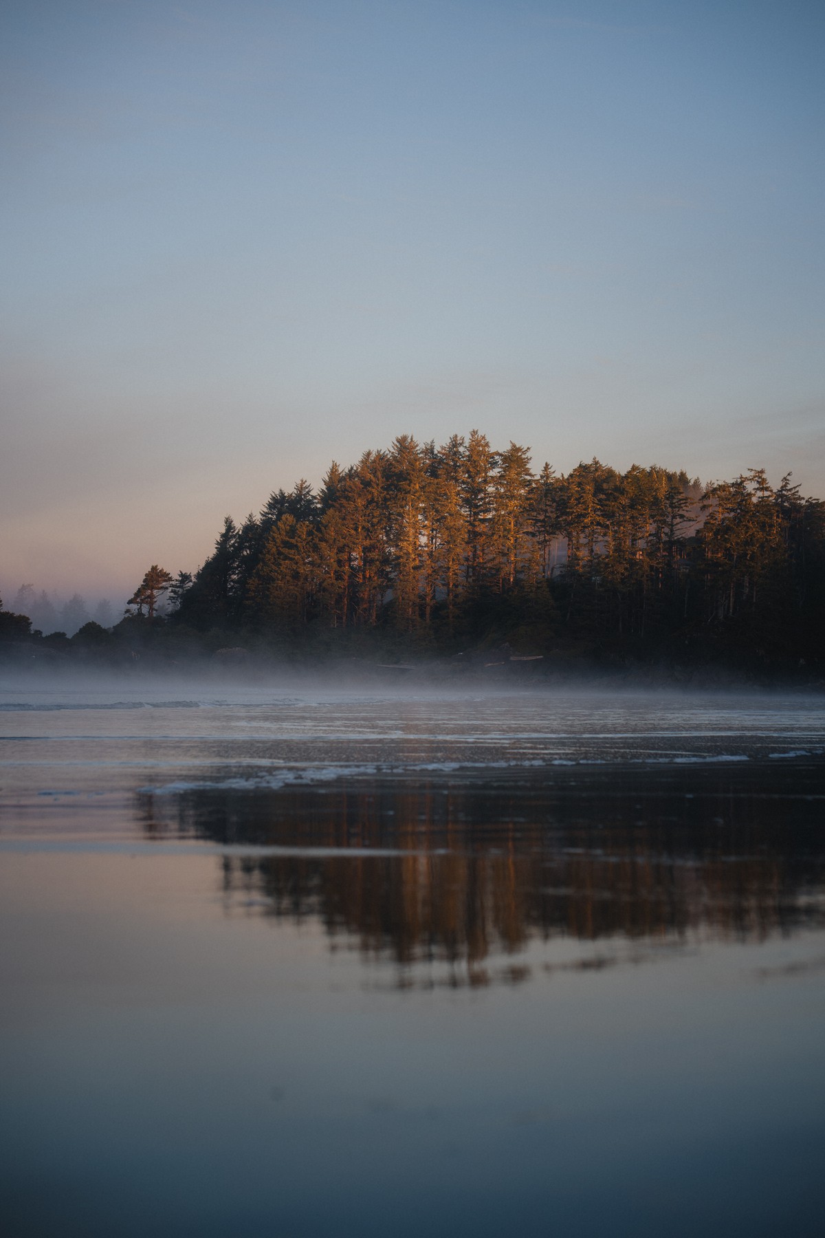 Morning Fog in Tofino — project cover