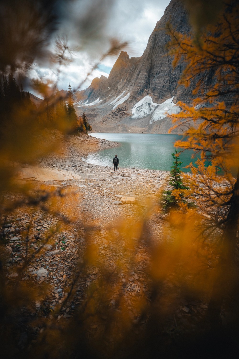 Floe Lake — gallery image