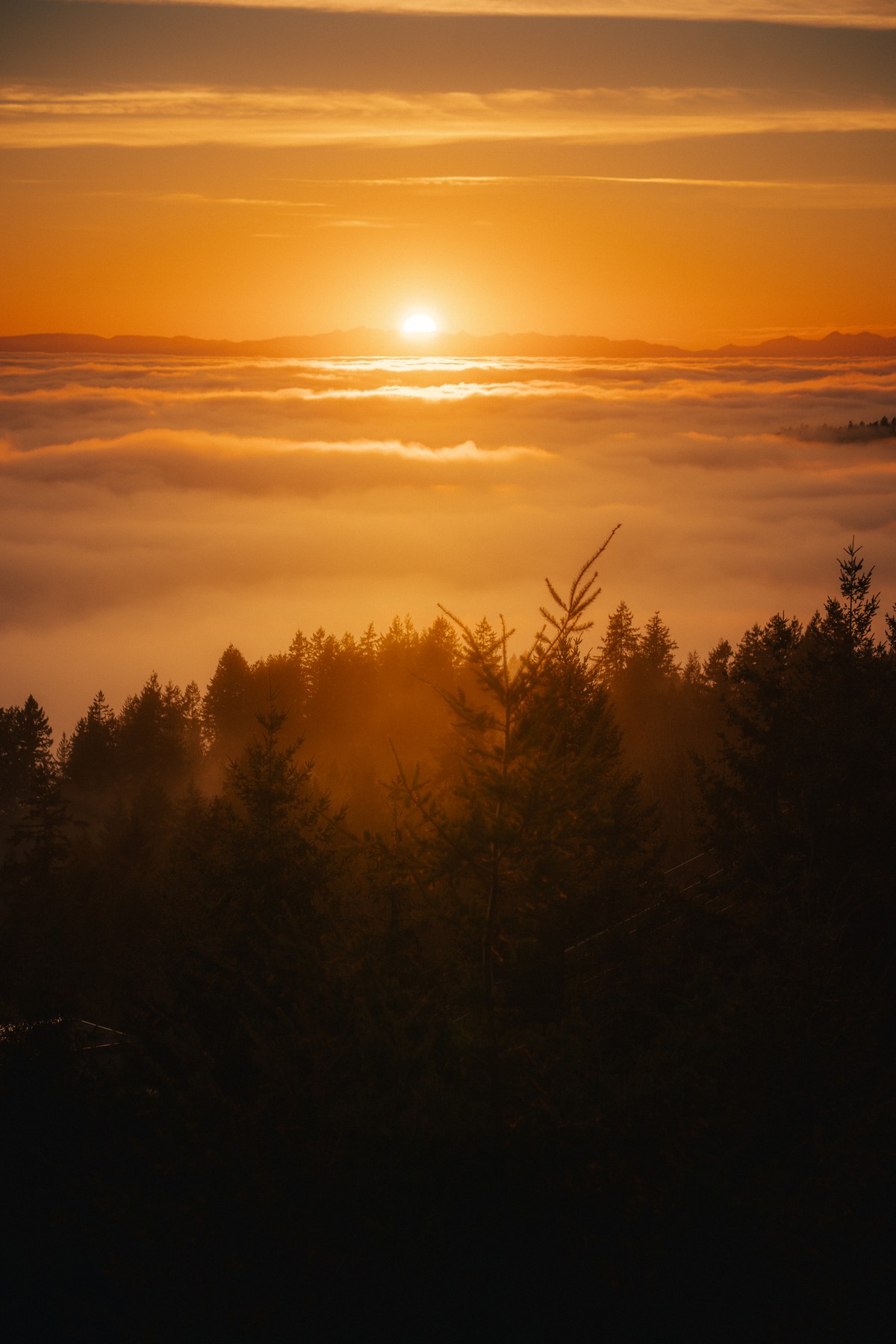 Cypress Lookout Inversion