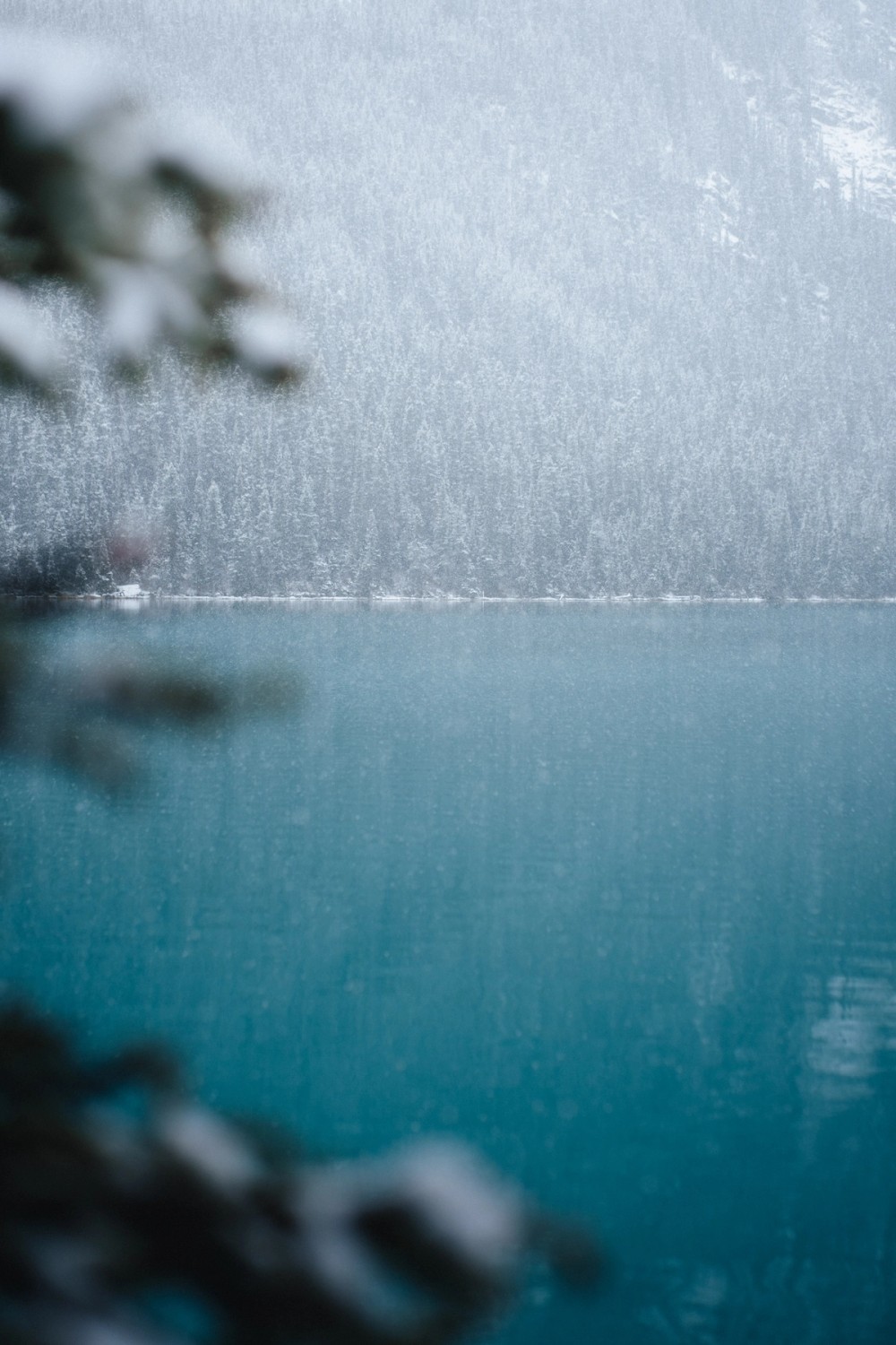 Lake Louise First Snowfall — gallery image