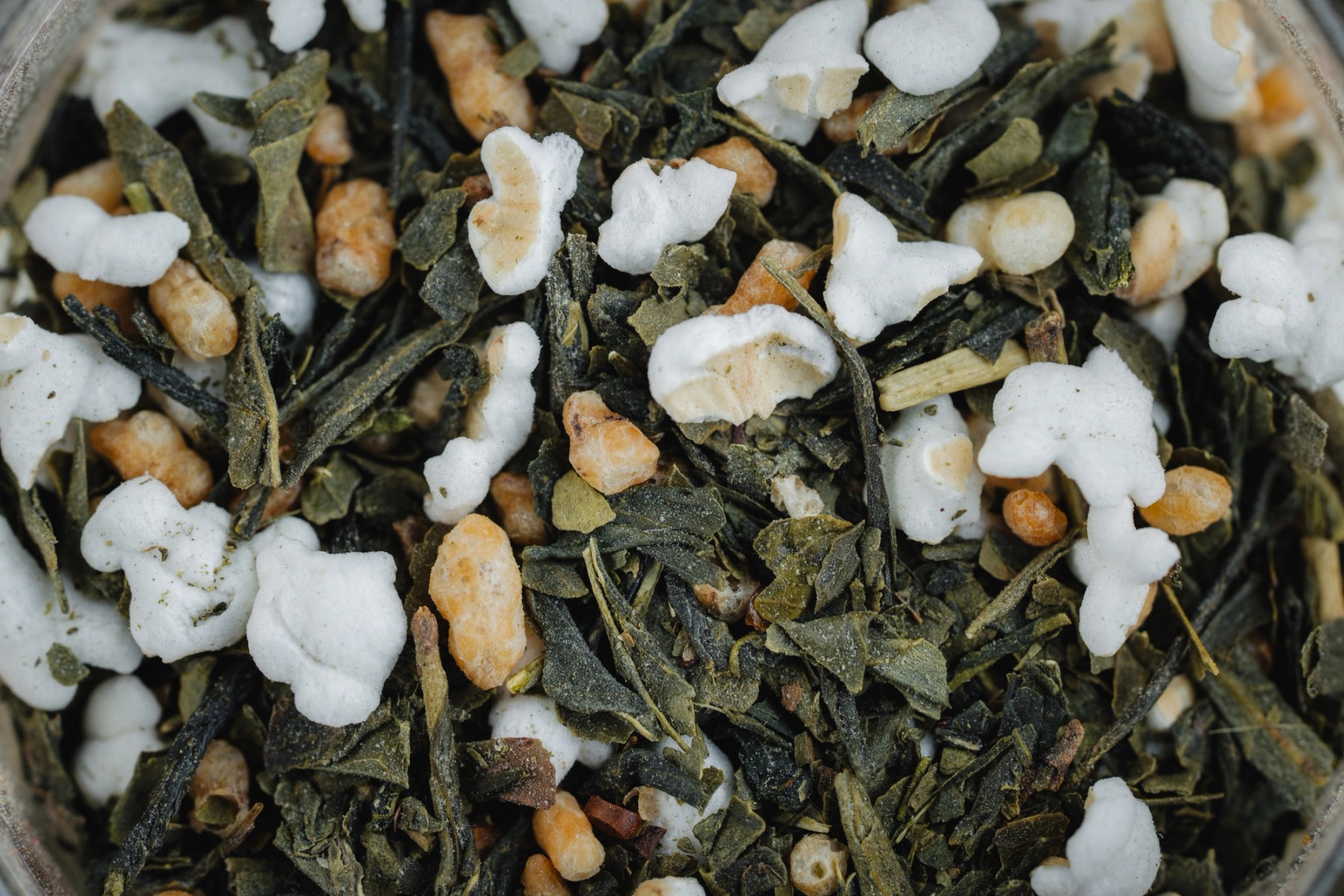 Radical Mullet Tea Shoot 1 — gallery image