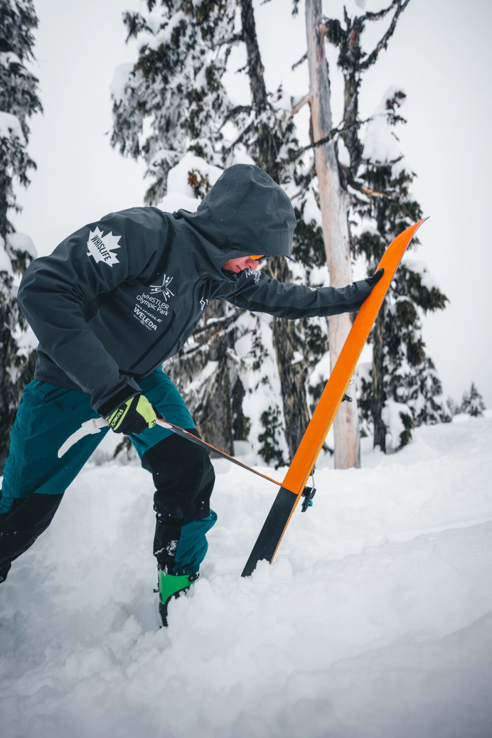 Backcountry Skiing Transition — gallery image