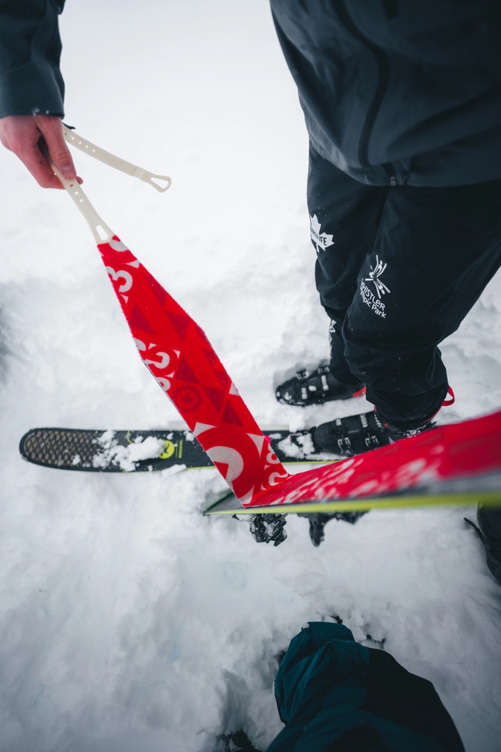 Backcountry Skiing Transition — gallery image