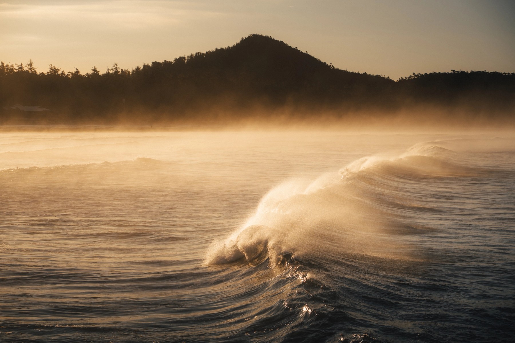 Golden Waves — gallery image