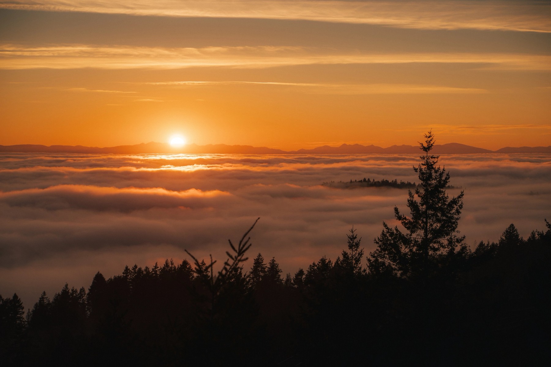 Cypress Lookout Inversion — gallery image