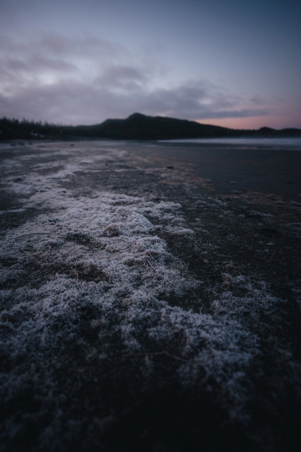 Frosty Tofino Mornings — gallery image