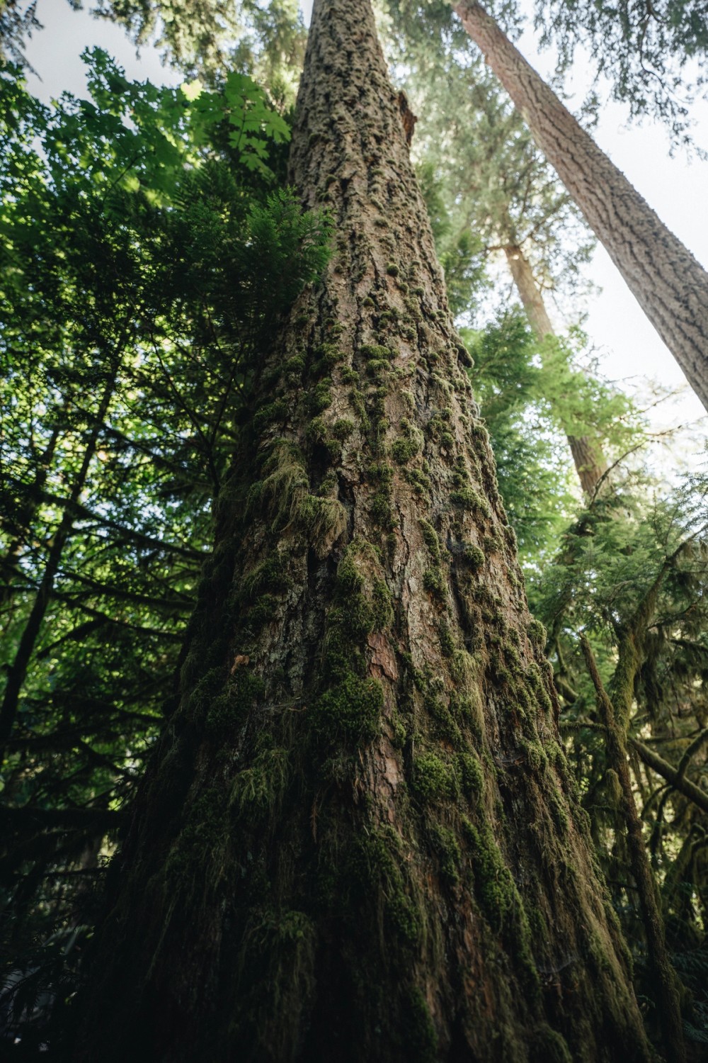 Mackenzie Beach — gallery image