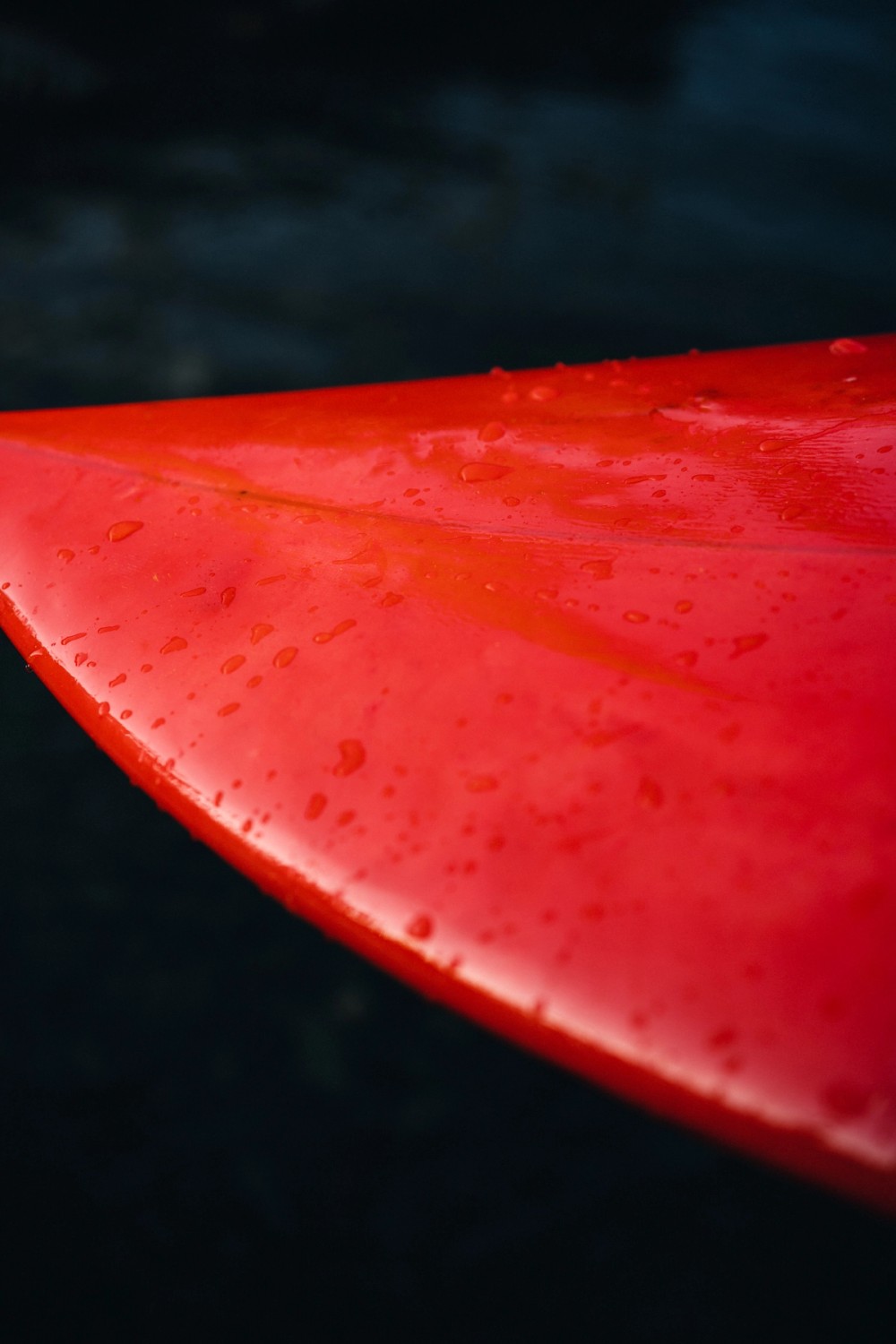 Butter Surf Co. — gallery image