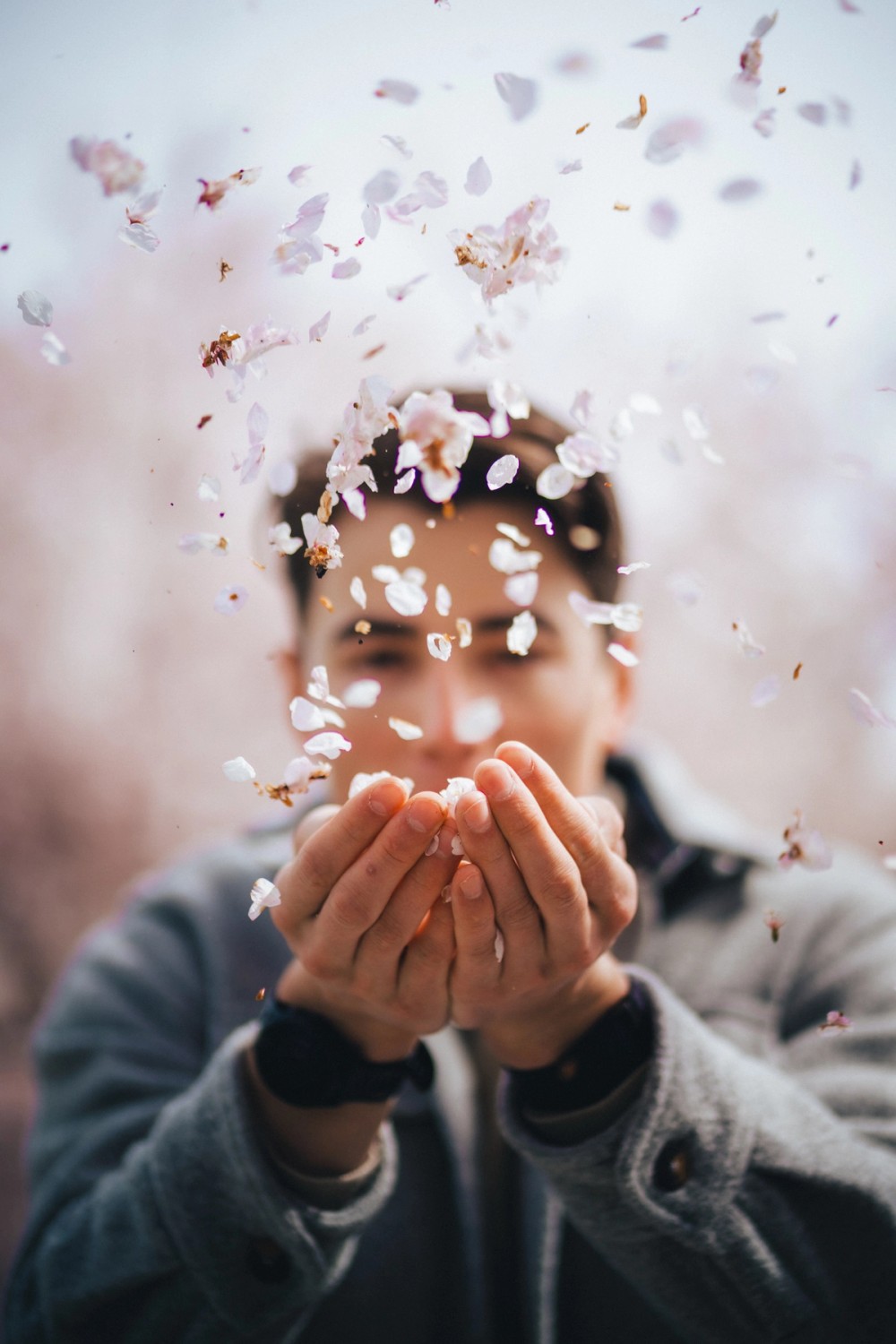 Vancouver Petals — gallery image