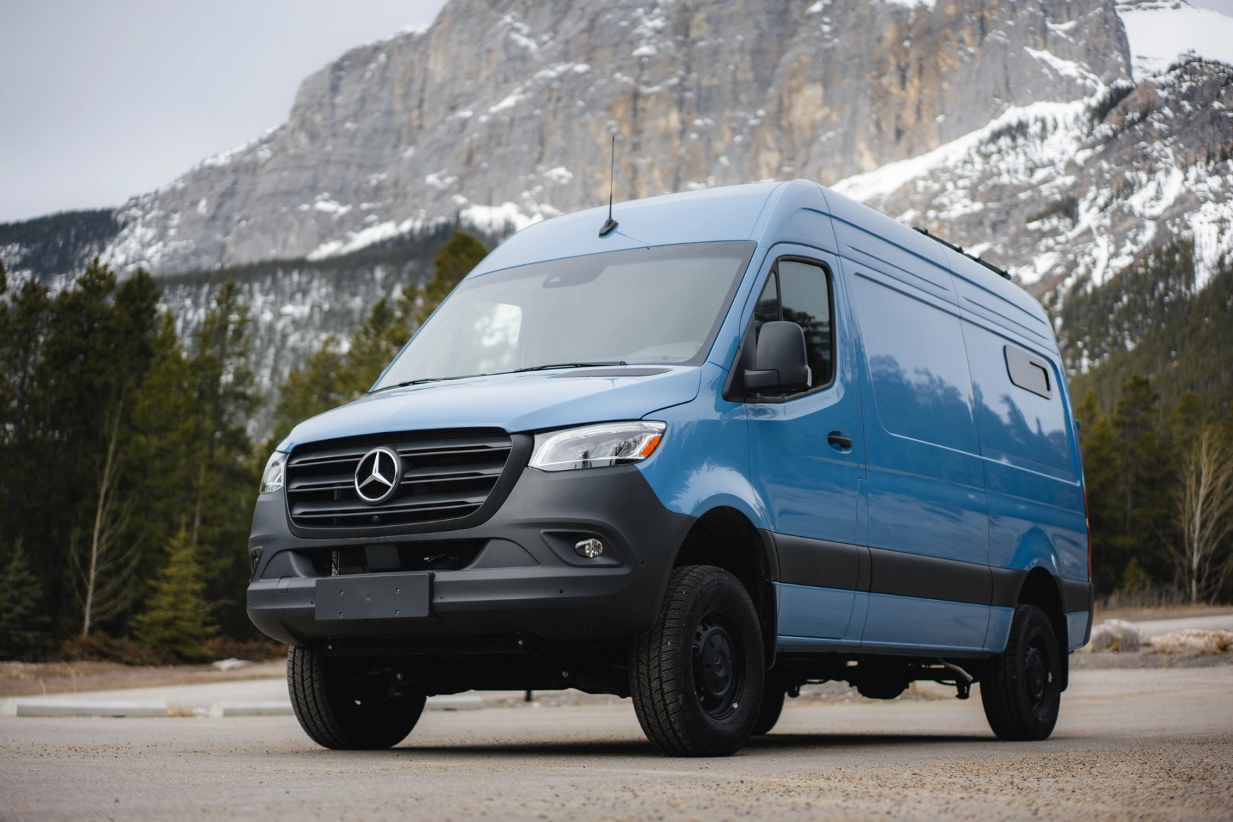 Odin's Awesome Vans — gallery image