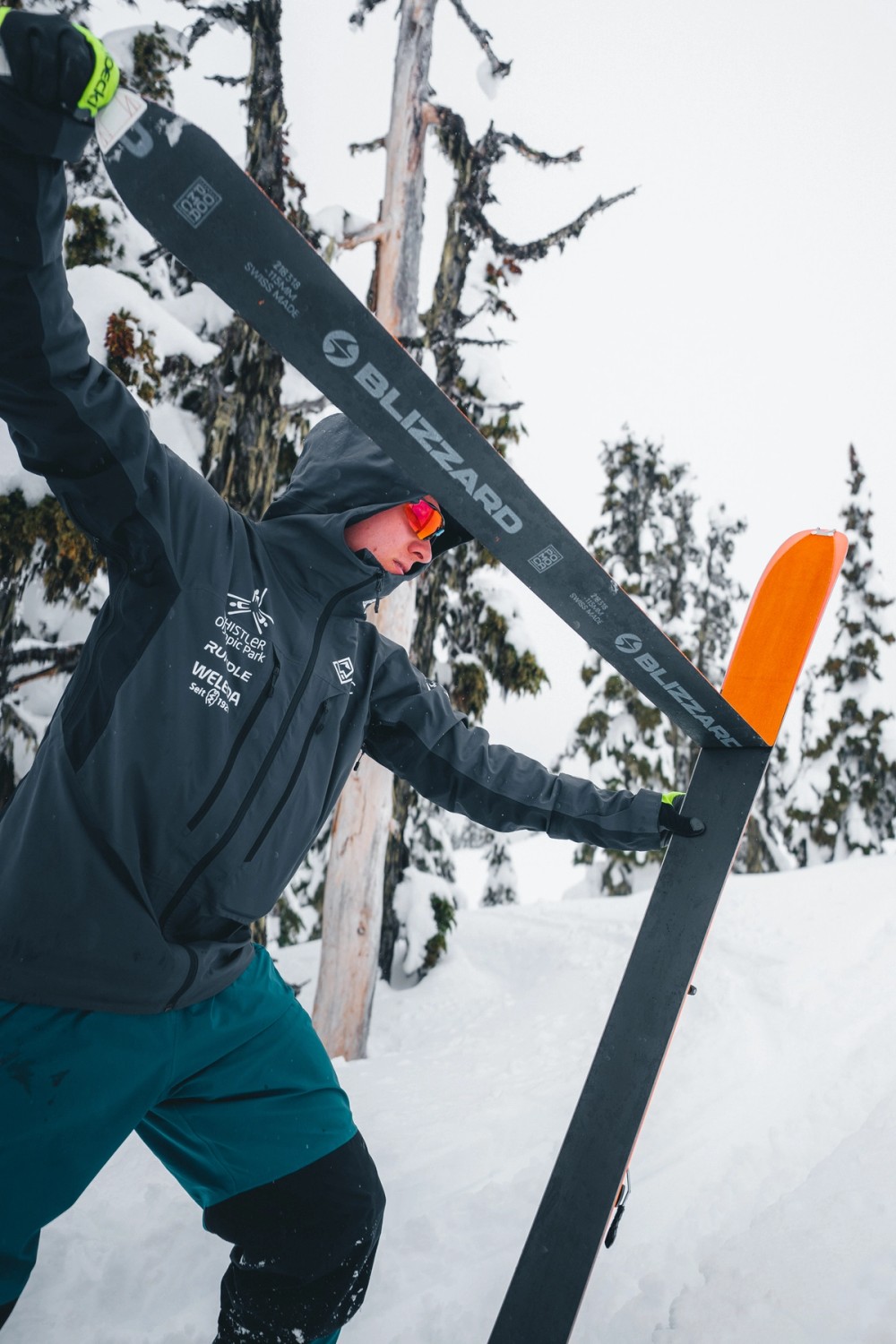 Backcountry Skiing Transition — gallery image