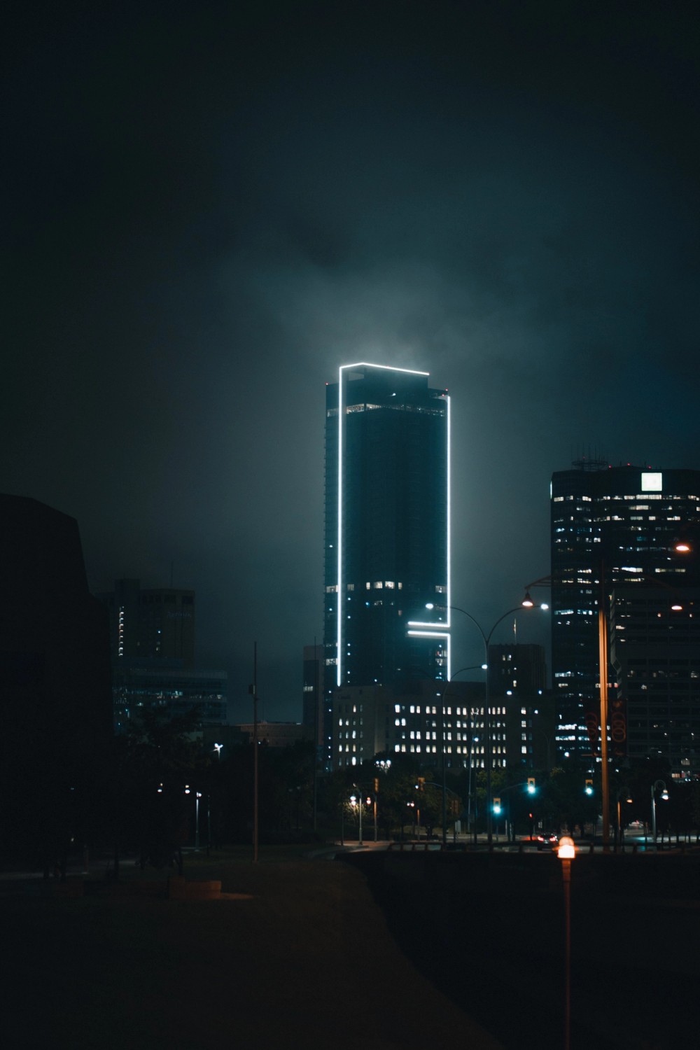 Winnipeg by Night — gallery image