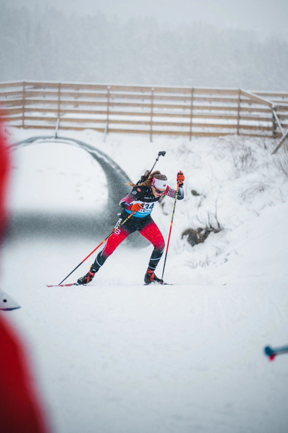 Team Canada Racing — gallery image