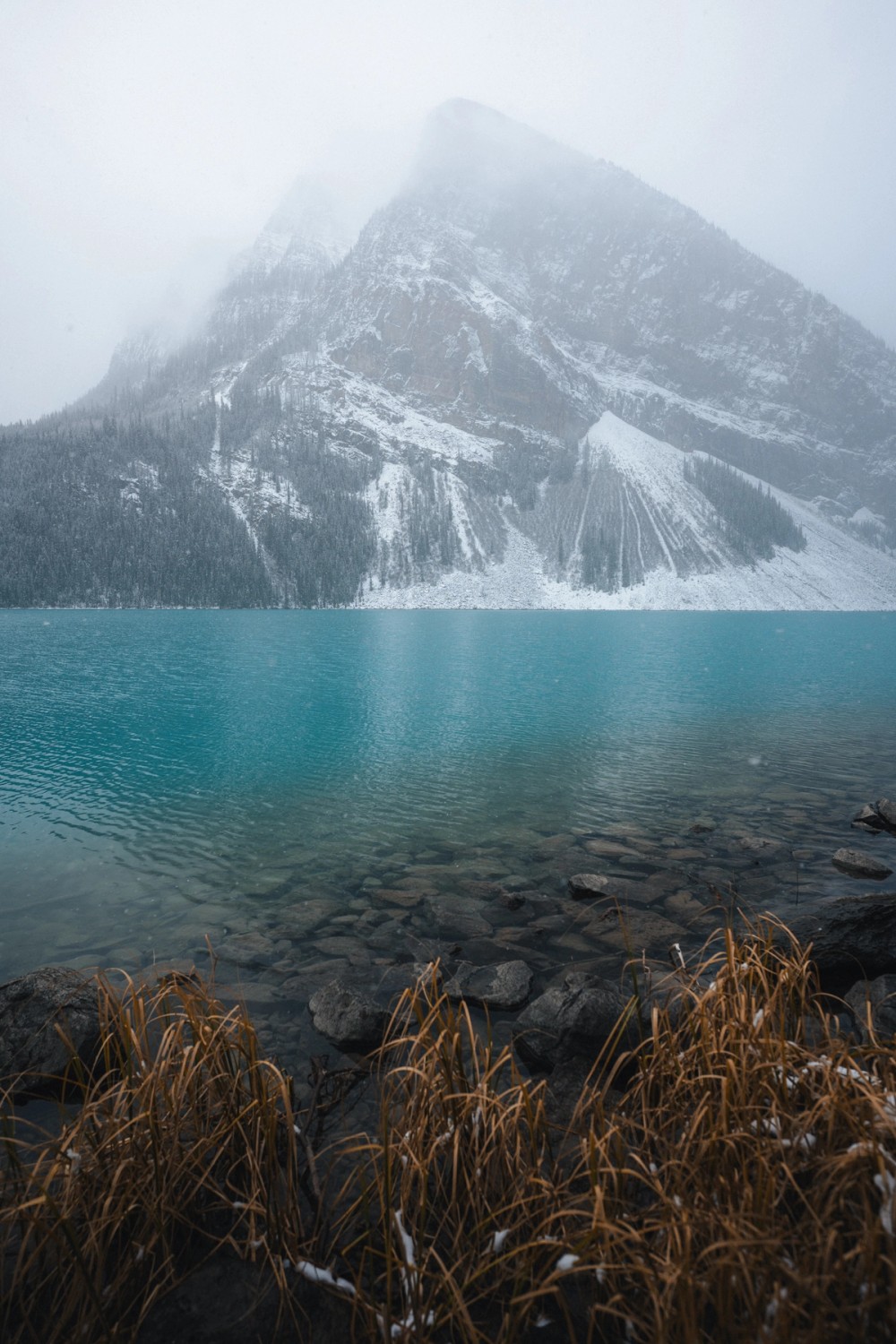 Lake Louise First Snowfall — gallery image