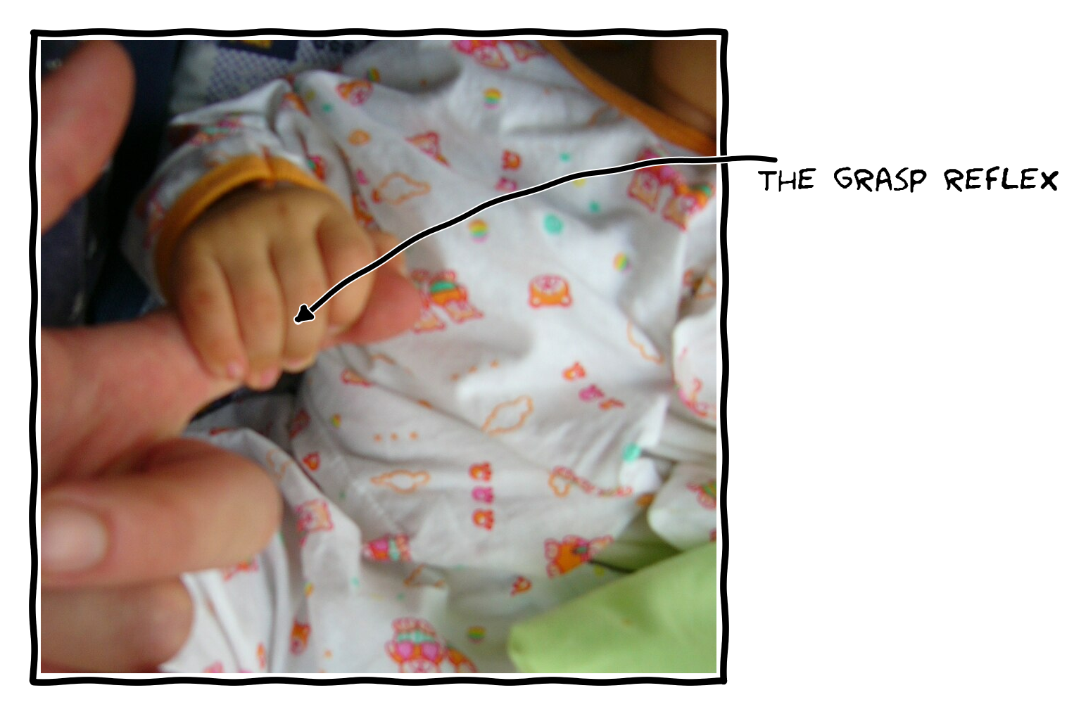 Blog image