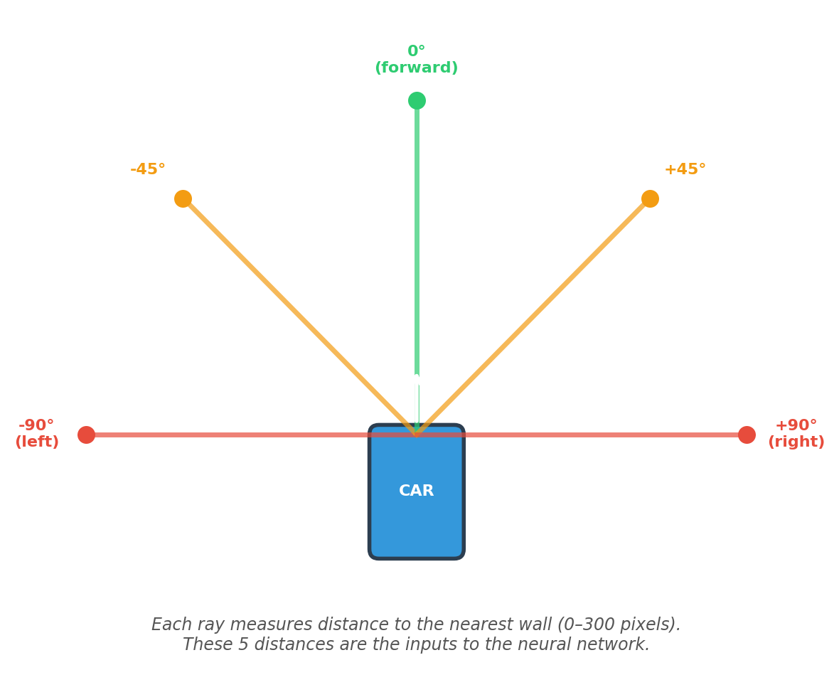 Figure 2: Sensor rays