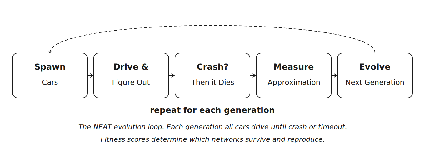 Figure 7: Evolution cycle